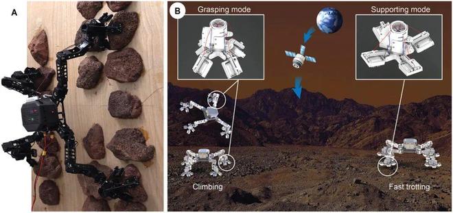 北航团队多模态自适应攀岩机器人垂直岩石攀爬复杂地形小跑